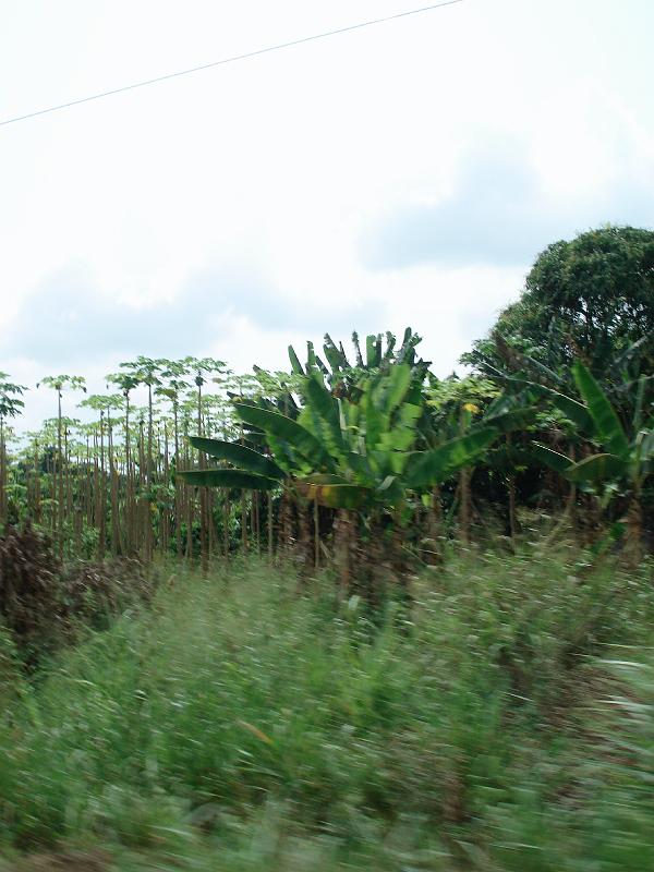 DSC03806.JPG