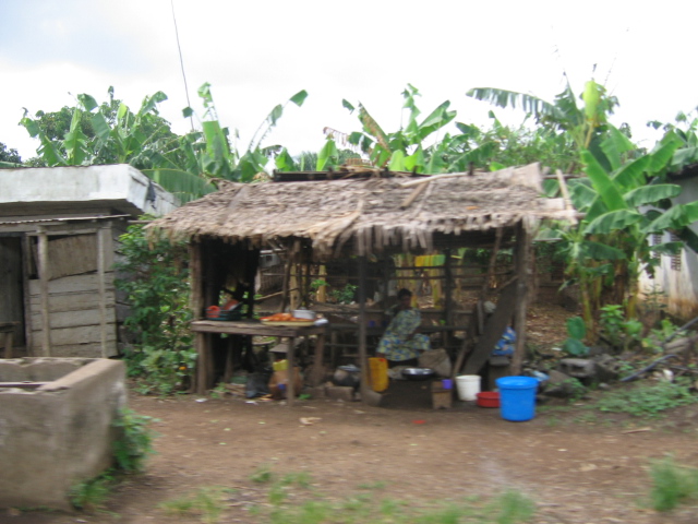 IMG_2567.JPG