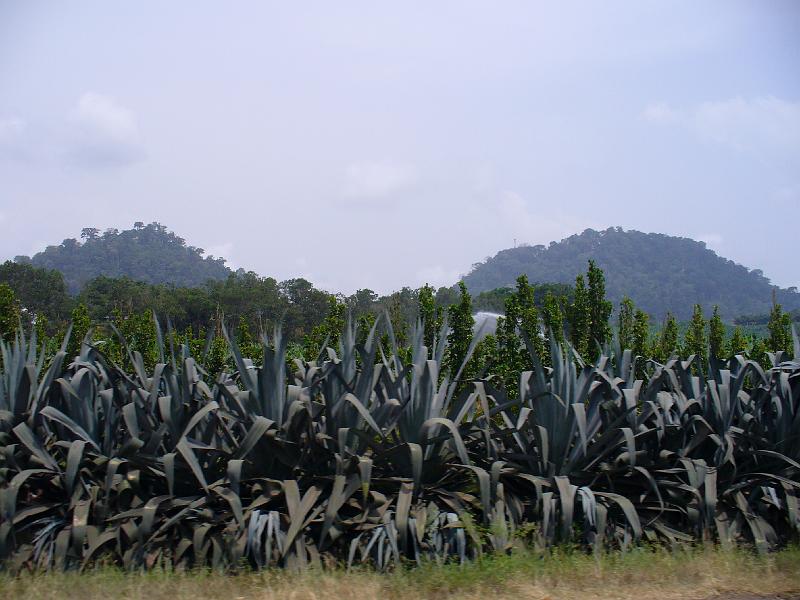 P1050840.JPG