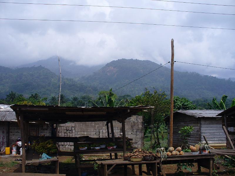 P1050855.JPG