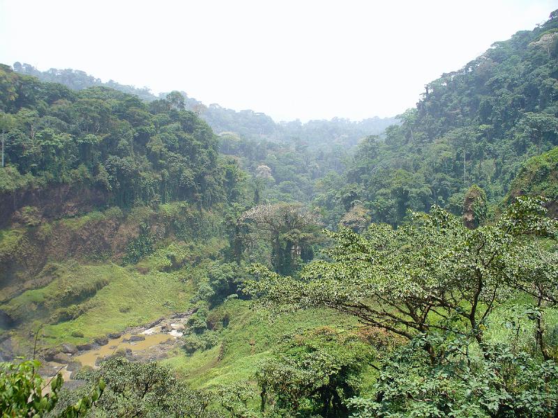 P1050885.JPG