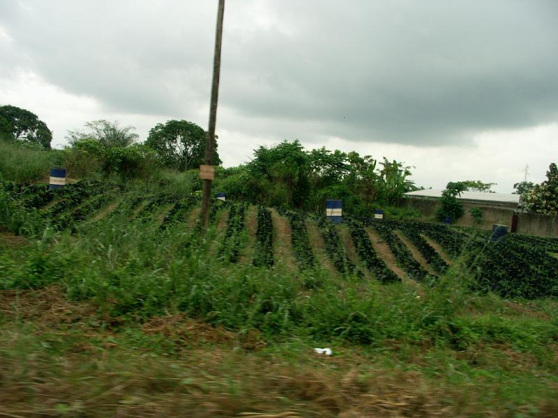 PICT0012.JPG