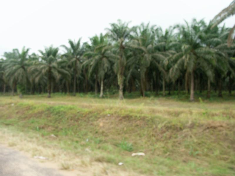 PICT0014.JPG