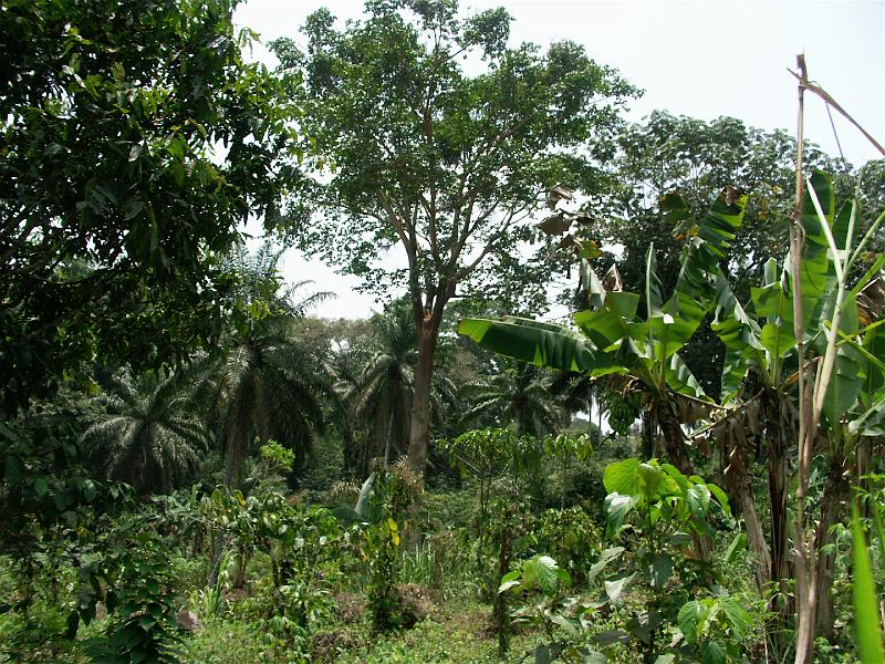 PICT0038.JPG