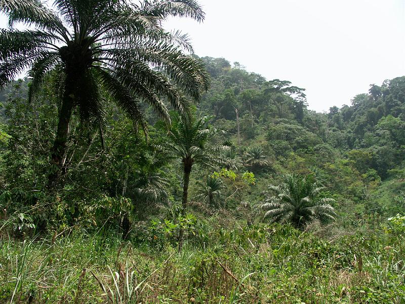 PICT0041.JPG