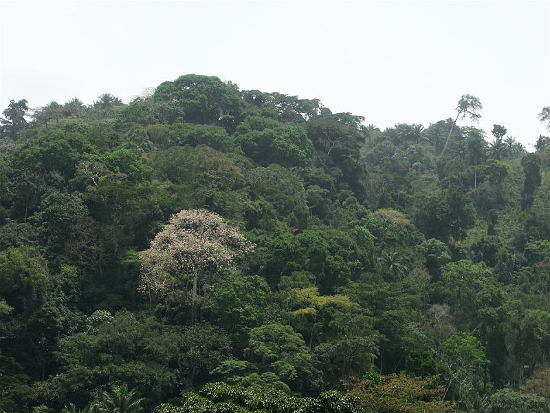 PICT0042.JPG