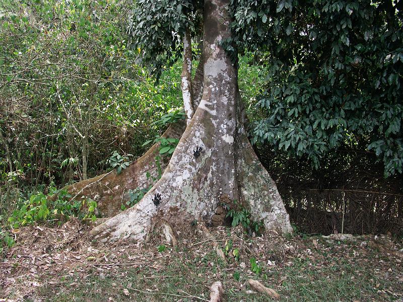 PICT0047.JPG