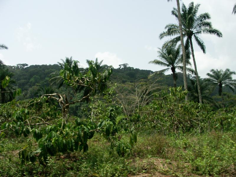 PICT0054.JPG