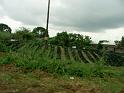 PICT0012