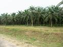 PICT0014