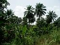 PICT0037