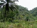 PICT0041