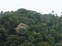 PICT0042