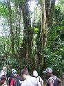 PICT0045