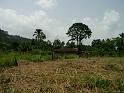 PICT0056