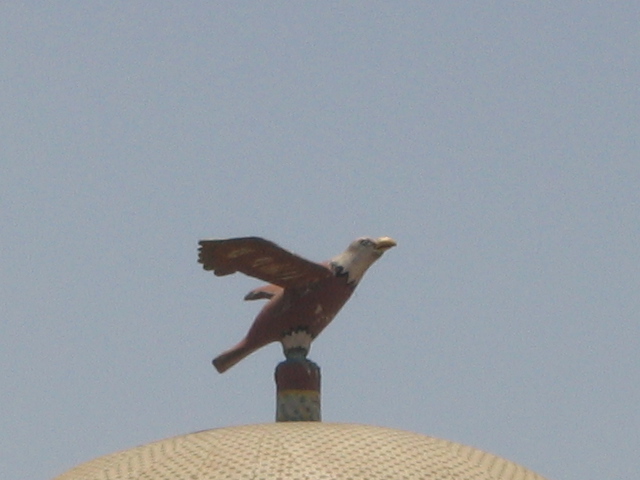 IMG_2874.JPG