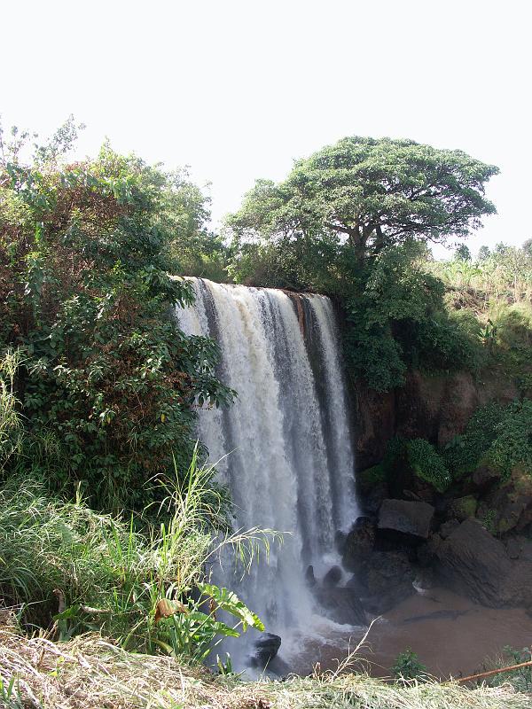 PICT0071.JPG