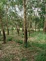 DSC04039