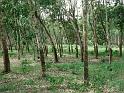 DSC04042