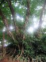 IMG_3086